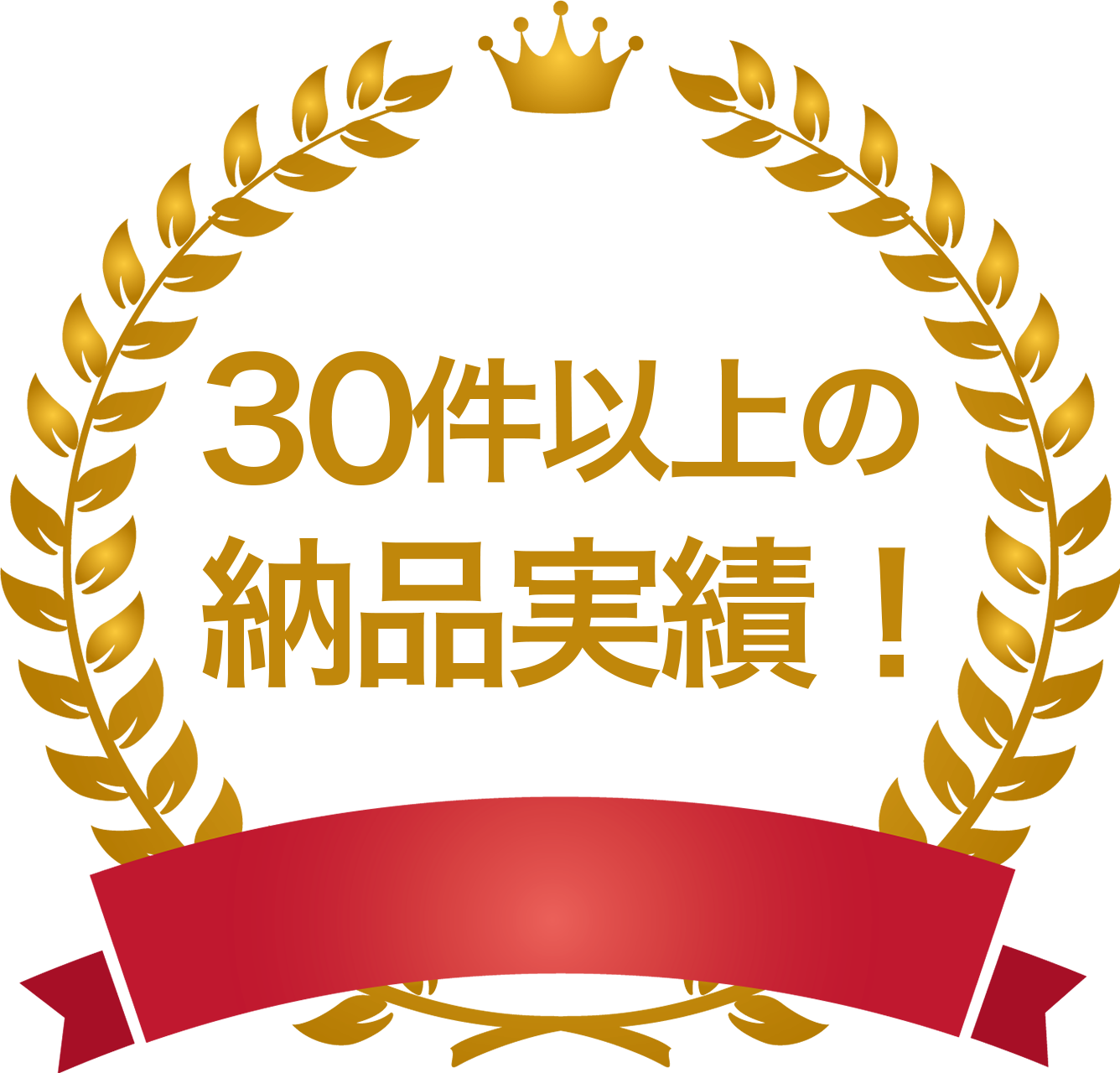 30件以上の実績